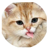 mrmurdock