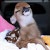 nina_stalder