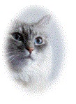 Shatiel