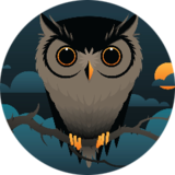 StrXOwl