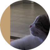 susi